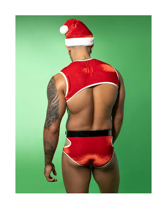 Sexy Santa Costume