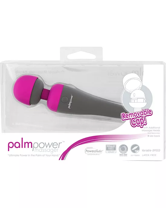 Palmpower Massager